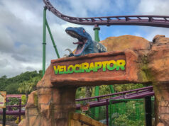 Velociraptor Closed for Maintenance at Paultons Park Velociraptor
