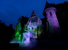 The UK Theme Park Attractions I Think Deserve More Attention