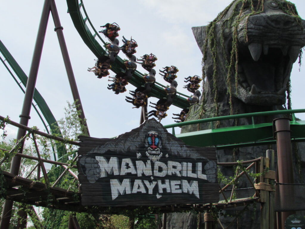 Theme Park Offers in the UK