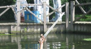 Remembering Excalibur at Drayton Manor