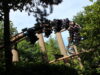10 Pictures of Vampire at Chessington World of Adventures