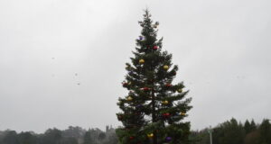 Theme Park Boxing Day Deals: Your Ultimate Savings Guide