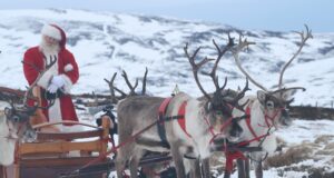 Winter at Landmark Forest Adventure Park