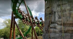 In Pictures: Mandrill Mayhem at Chessington Mandrill Mayhem at Chessington