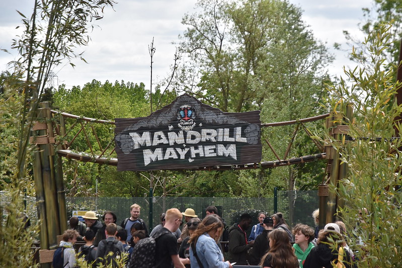 Mandrill Mayhem at Chessington World of Adventures