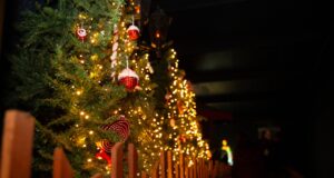 SAVE 40% on Christmas 2024 at Gulliver’s Theme Parks SAVE 40% on Christmas 2024 at Gulliver's Theme Parks