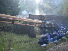 Vampire Has Been at Chessington for 36 Years — But How Many More? Vampire at Chessington