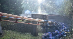 Unleashing Your Thrill-Seeking Senses: Vampire at Chessington World of Adventures Vampire at Chessington