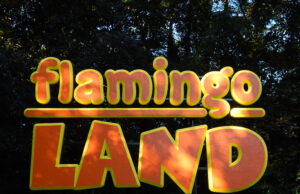 Flamingo Land: Applications for the 2025 season are now open Flamingo Land