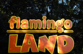Did You Know: Flamingo Land offers FREE parking with all tickets Flamingo Land