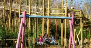February Half Term Activities to do at BeWILDerwood February Half Term Activities to do at BeWILDerwood