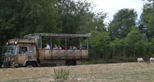 ZUFARI at Chessington Will Be Closed Today Zufari: Ride into Africa at Chessington