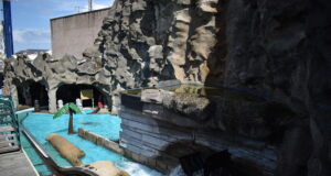 Explore the Enchanting River Caves at Blackpool Pleasure Beach River Caves at Blackpool Pleasure Beach