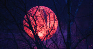 Giant Alien Eye Heralds The Return Of Alton Towers Most Iconic Rollercoaster Giant Alien Eye Heralds The Return Of Alton Towers Most Iconic Rollercoaster