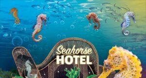 EXCLUSIVE: Thrilling Experiences and Unbeatable OFFERS this Half-Term!