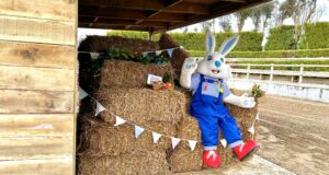 Camel Creek Family Adventure Park is officially open for Easter!