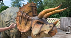 Dinosaur Takeover at Adventure Island Dinosaur Takeover at Adventure Island