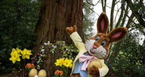 Cracking Easter in Store at West Midlands Safari Park