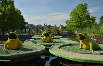 Plan Your Visit: Alton Towers Opening Times and Schedule Towers and Frogs