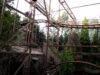 Rattlesnake Ride at Chessington to Return October 2026 After Works Rattlesnake at Chessington