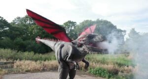 NEW ‘Day of the Dragon’ Event at Adventure Island Day of the Dragon at Adventure Island