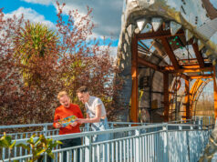 THORPE Shark Cabins: A Unique Accommodation Experience