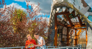 THORPE Shark Cabins: A Unique Accommodation Experience