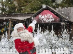 Relaxed Santa Safari Sessions at West Midlands Safari Park Santa Safari at West Midlands Safari Park