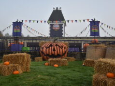 Fake Halloween Scarefest Tickets: How to Avoid Being Scammed in October 2026 Scarefest 2024 at Alton Towers