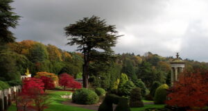 Best UK Theme Parks for the Autumn Season