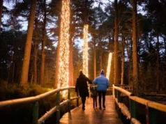 Winter at Landmark: Lights, Events, and Attractions!