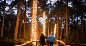 Winter at Landmark: Lights, Events, and Attractions!