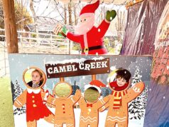 Experience the Magic of Christmas at Camel Creek