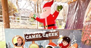 Experience the Magic of Christmas at Camel Creek