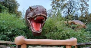 Did You Know: Drayton Manor has an exciting Dino Trail that brings the prehistoric world to life?