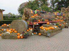 The Best UK Theme Parks to Visit During October Half-Term 2026 Halloween Spooktacular at Paultons Park