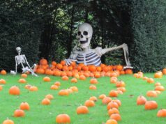 Why We’d Pick Halloween Over Summer at a UK Theme Park