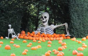 Why We’d Pick Halloween Over Summer at a UK Theme Park