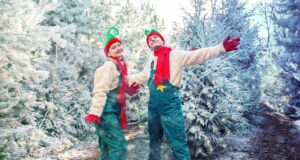 UK Theme Parks at Christmas: Essential Do’s and Don’ts