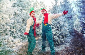 UK Theme Parks at Christmas: Essential Do’s and Don’ts