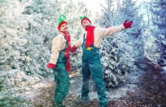 UK Theme Parks at Christmas: Essential Do’s and Don’ts