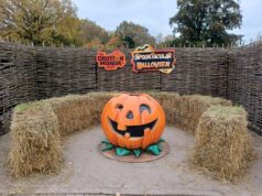What’s Happening at UK Theme Parks This Week (Week of 05 October 2026)