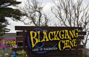 Blackgang Chine Announces Huge Blue Light Card Opening Weekend Offer Blackgang Chine