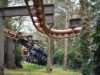 Good News for Thrill Seekers as Vampire Returns to Action at Chessington Vampire at Chessington