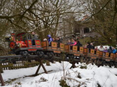 Did You Know: Can Rollercoasters Operate in the Snow?