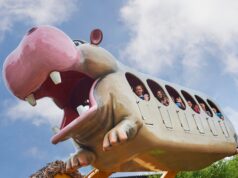 End of Summer Family Fun: Drusillas Members Can Bring a Friend for Only £5 This September Hippopotobus at Drusillas Park