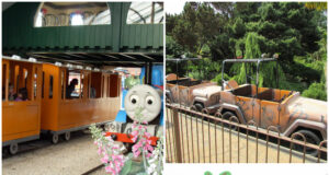 How to Choose the Best UK Theme Park for Your Family