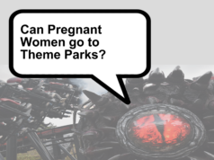 Can Pregnant Women go to Theme Parks