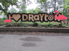 Why Flamingos Love Theme Parks: Strange Animal Sightings at UK Attractions