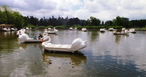 Remembering the Iconic Swan Boats at Alton Towers